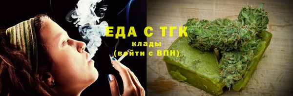 прущие грибы Инта