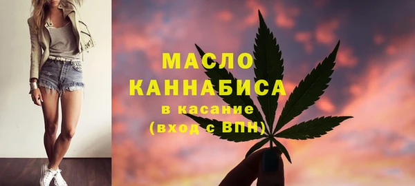 шишки Мегион
