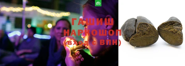 прущие грибы Инта