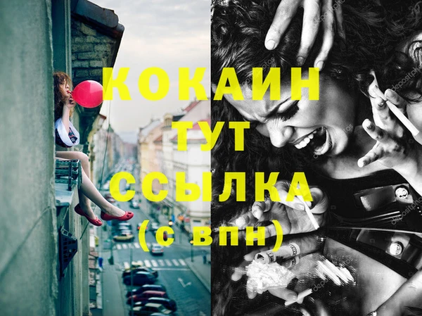 прущие грибы Инта