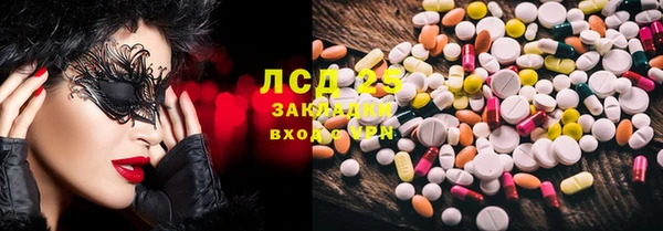 прущие грибы Инта