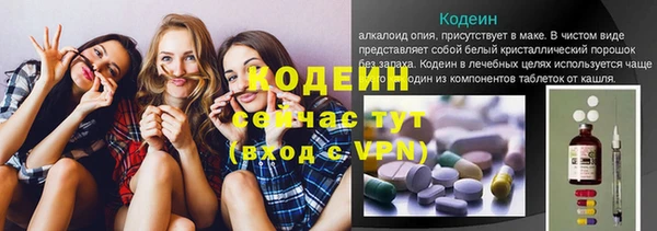 прущие грибы Инта
