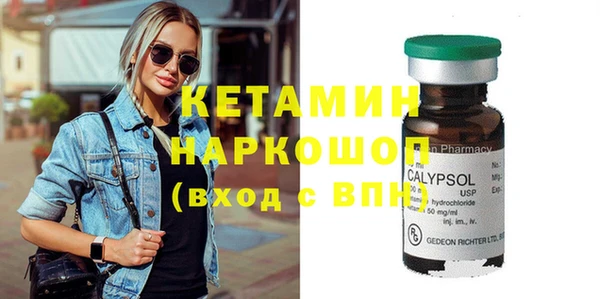 прущие грибы Инта